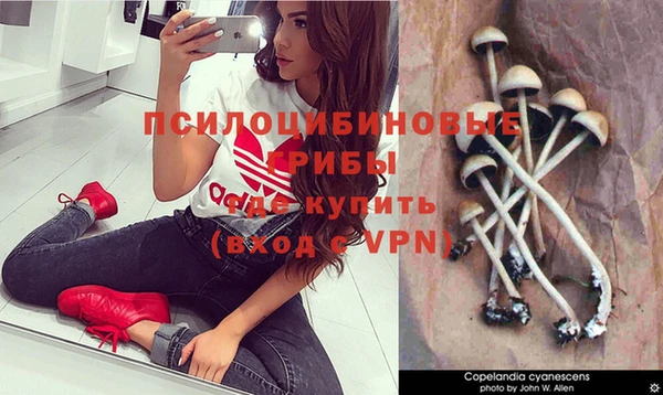 прущие крисы Пенза