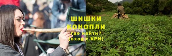 ешки Богданович