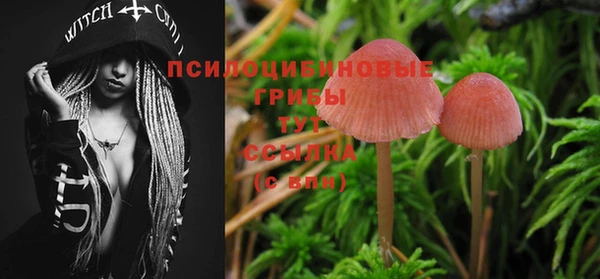 MDMA Premium VHQ Богородицк